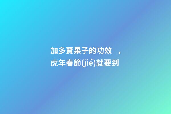 加多寶果子的功效，虎年春節(jié)就要到